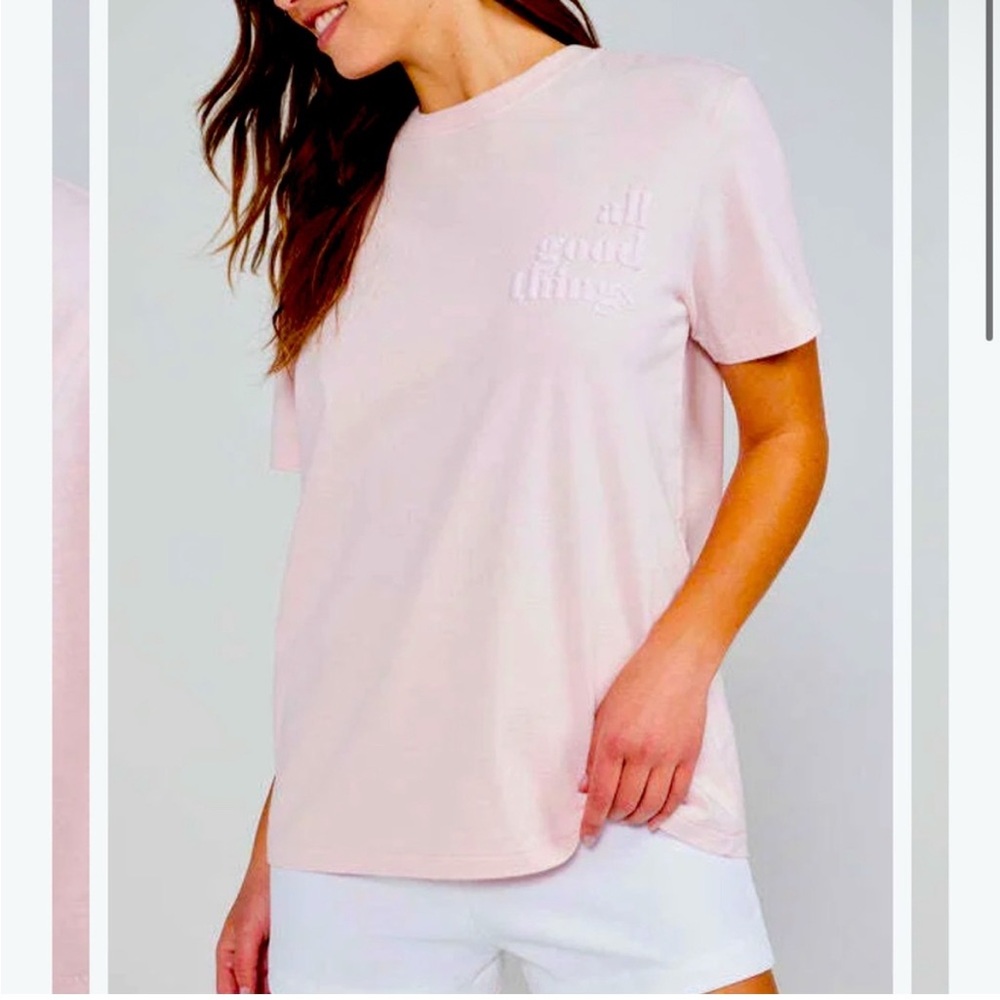 Wildfox Light Pink Short sleeve tee “all good things cost a lot but I deserve it